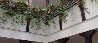 Hospedería Alma Andalusí