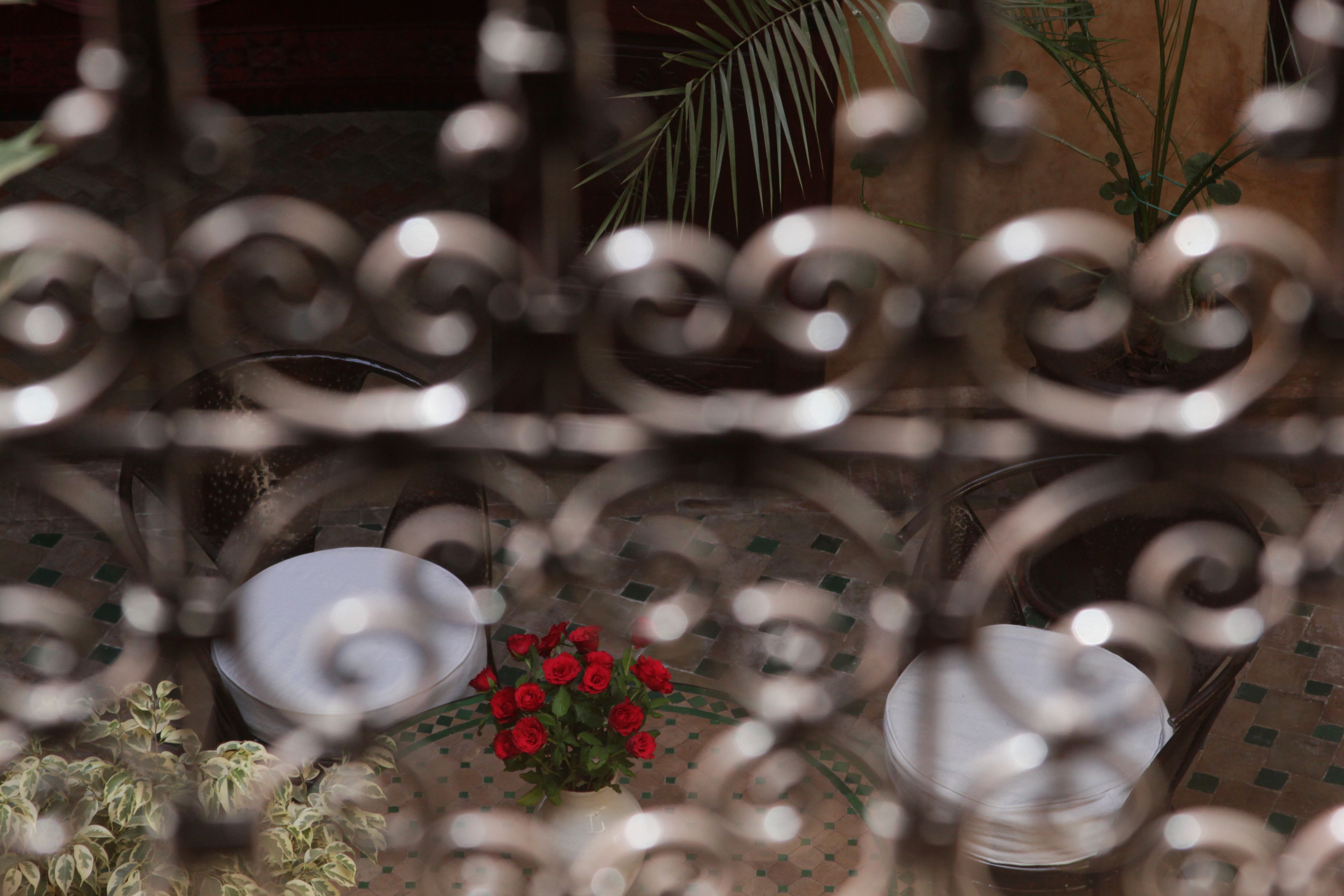 Foto - Riad Massiba