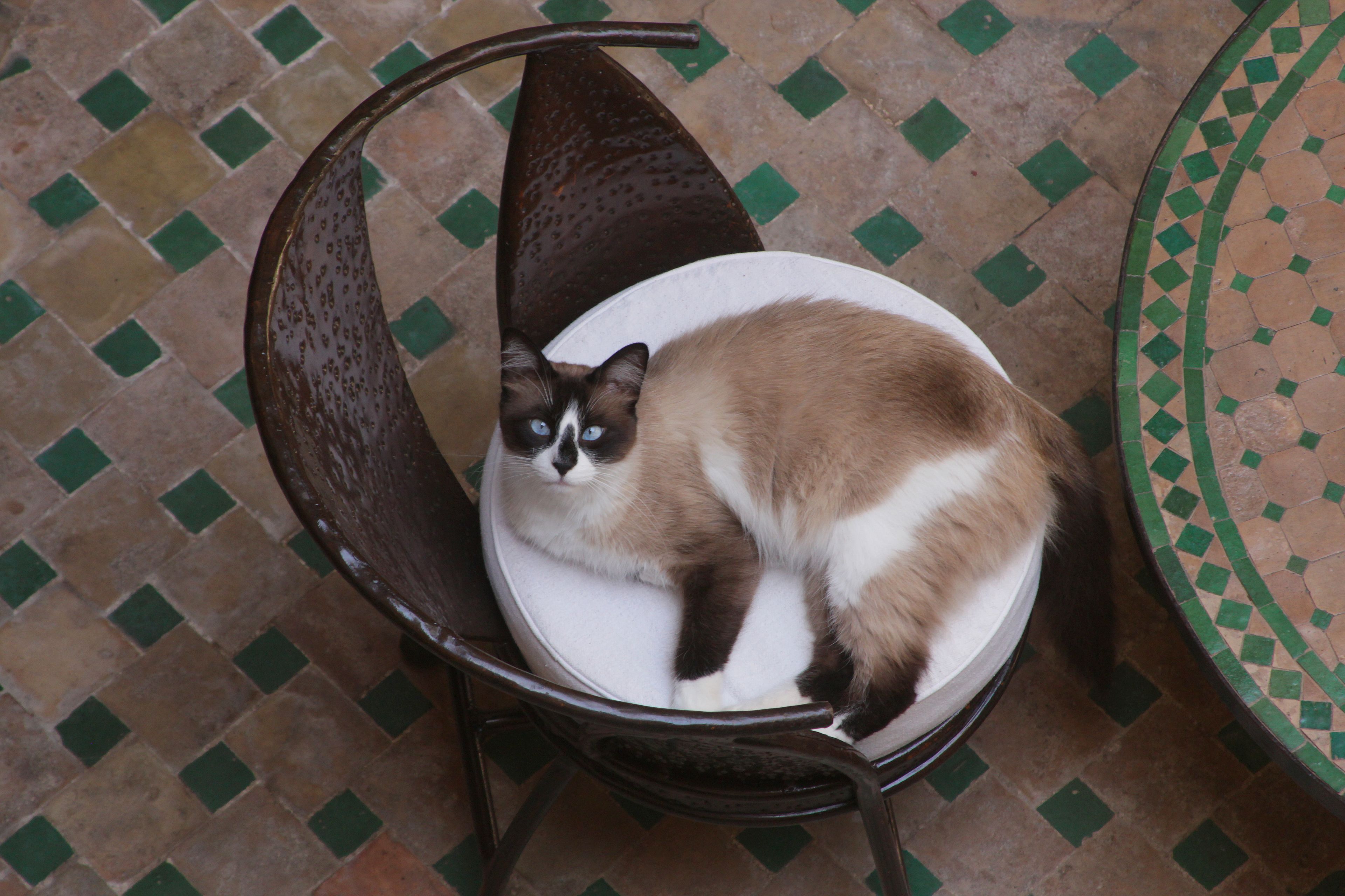 Foto - Riad Massiba