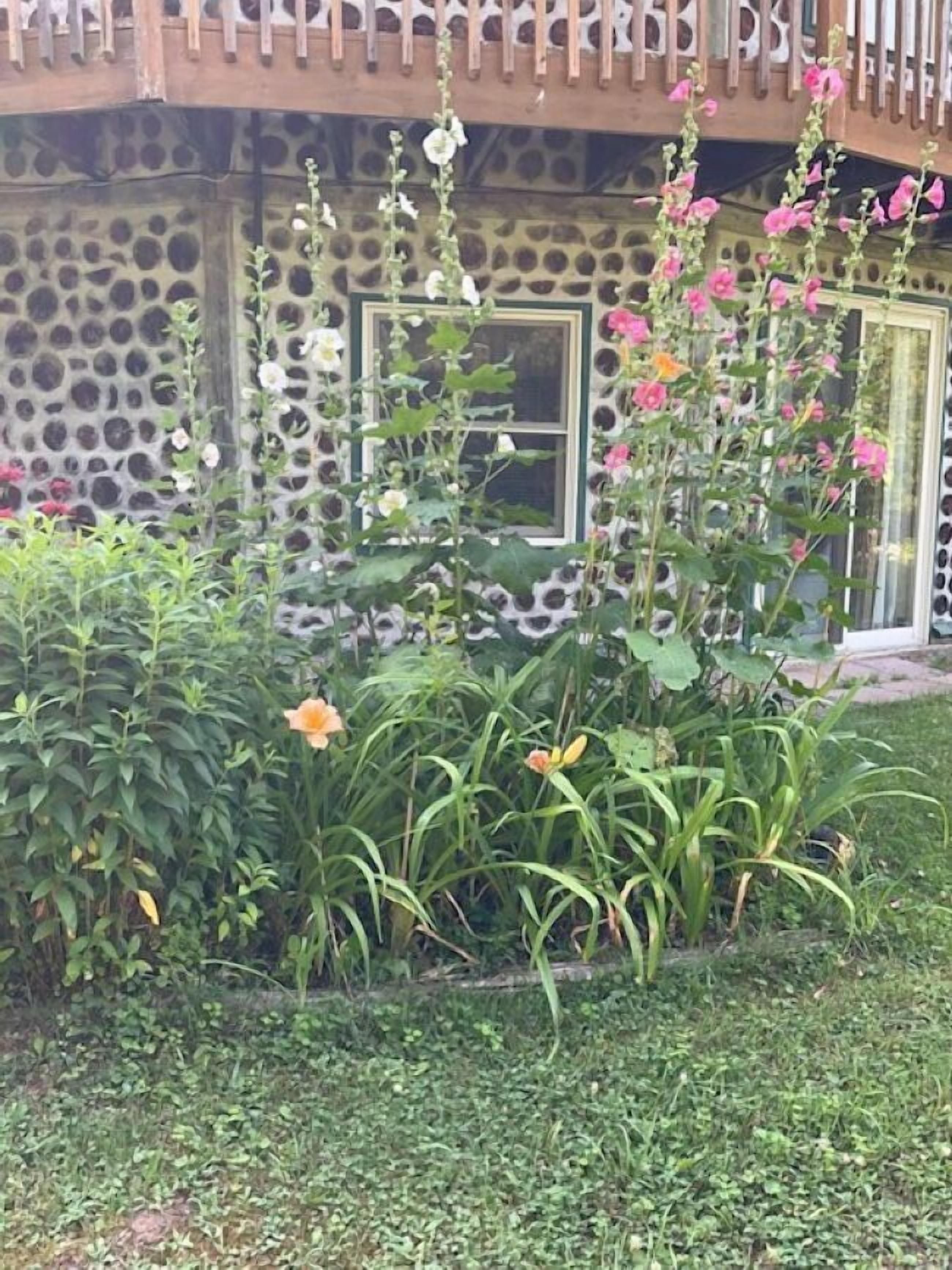 庭園