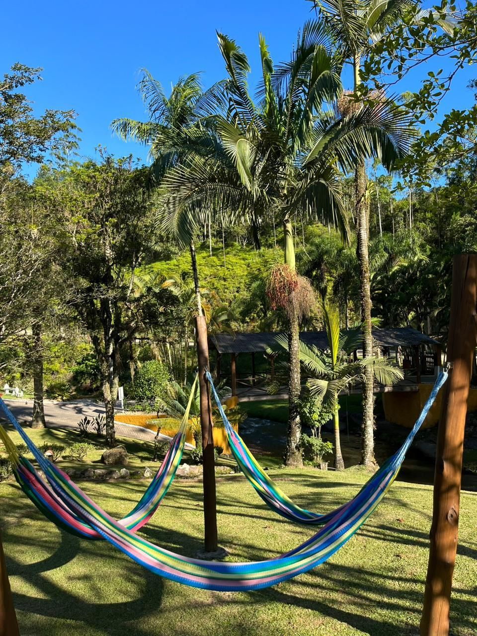 A hammock in a lush garden with palm trees and a small building in the background.