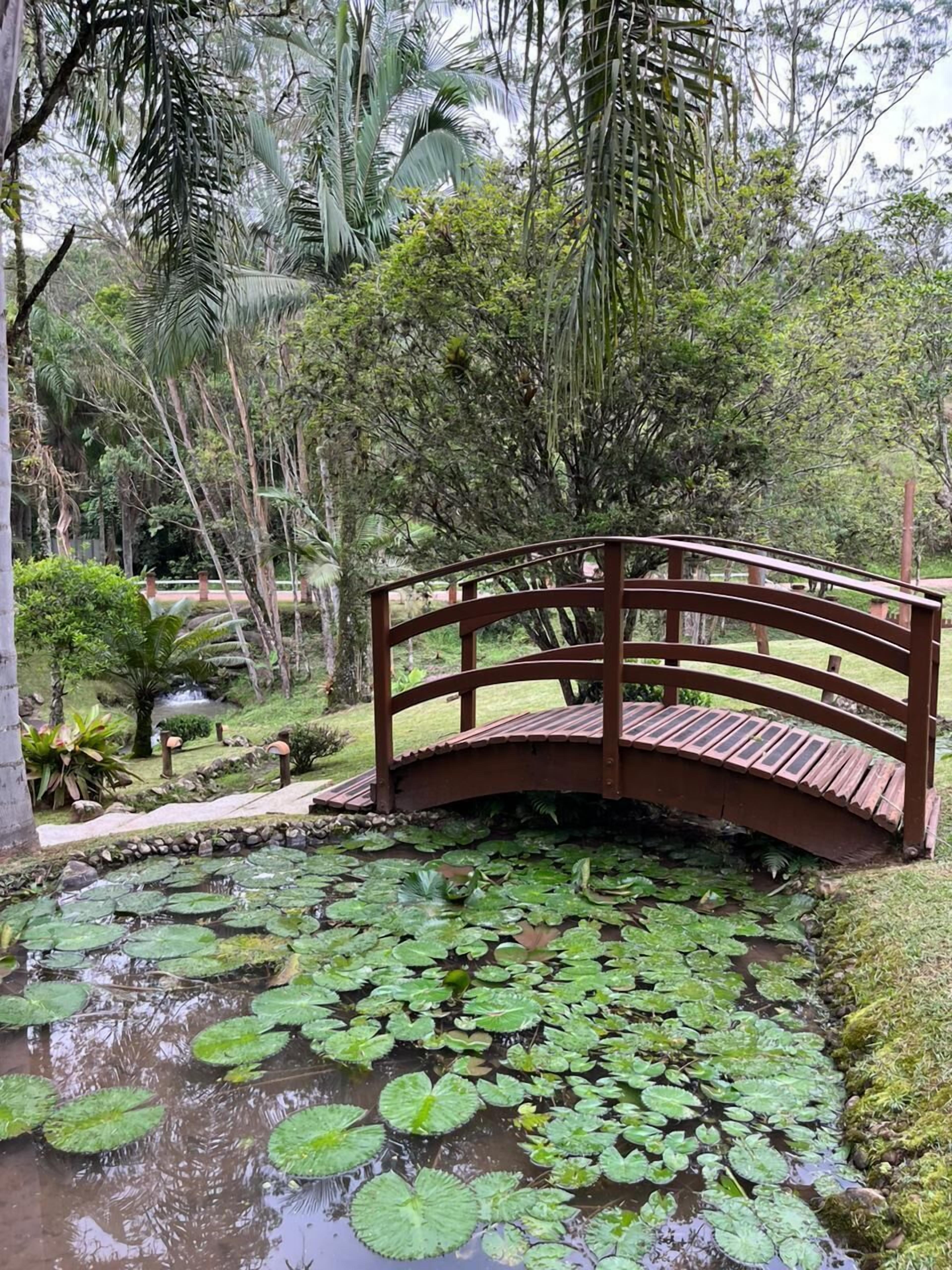 A wooden bridge over a pond with lily pads, surrounded by lush greenery and trees.