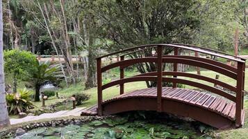 A wooden bridge over a pond with lily pads, surrounded by lush greenery and trees.