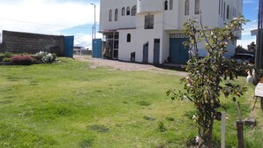 A white building with multiple windows and a door, surrounded by a grassy area with some plants.