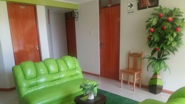 A green leather sofa, a wooden chair, a small table with a plant, and a potted plant with red apples.