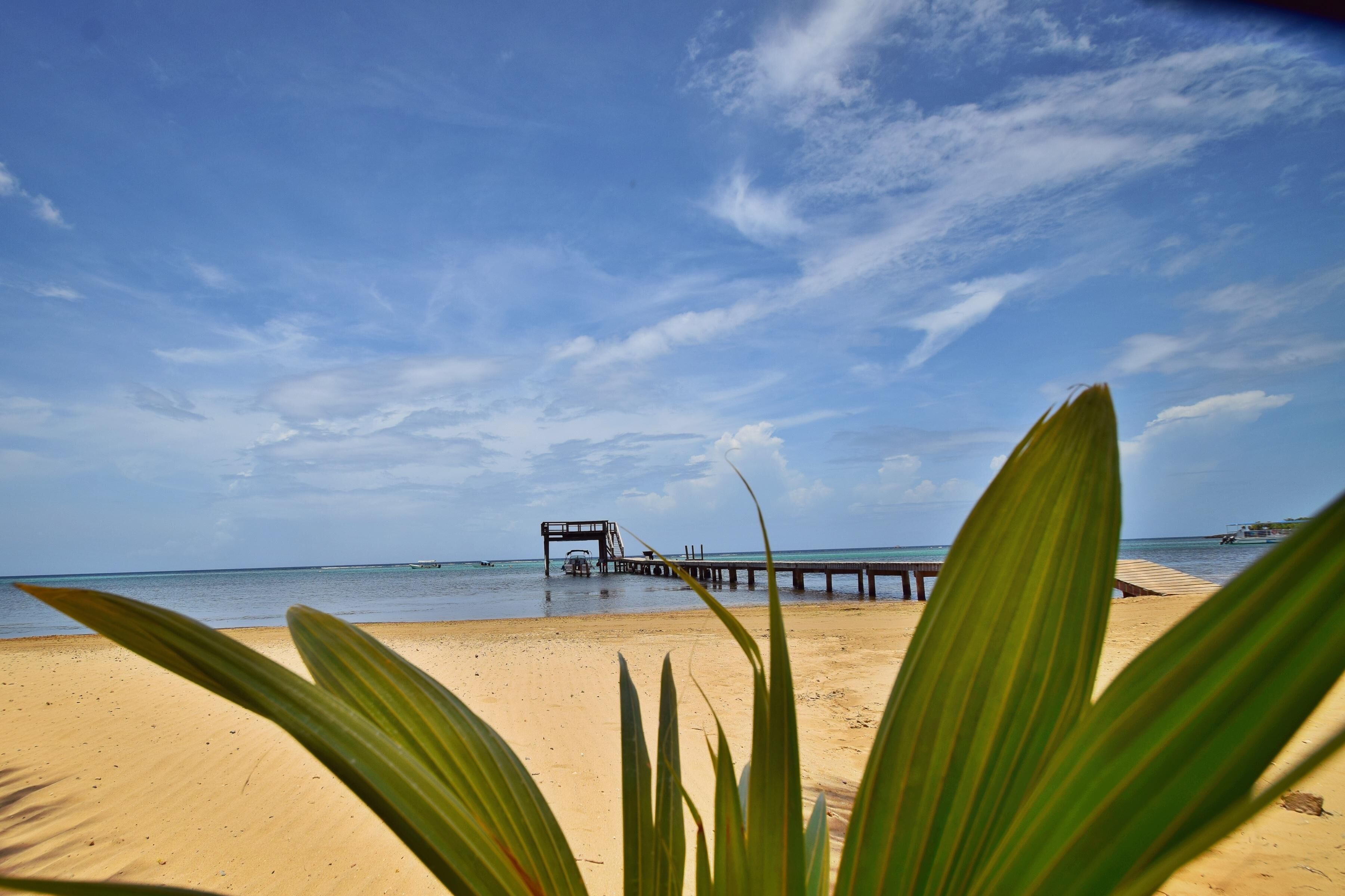 Una playa con un muelle que se adentra en el agua, hojas de palmera en primer plano y un cielo despejado.