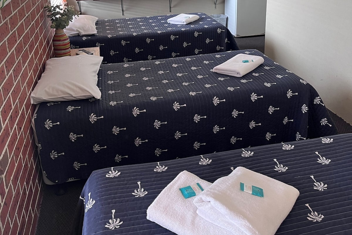 Kamer (1 Double & 3 Single Beds) | Luxe beddengoed, een strijkplank/strijkijzer, gratis wifi, beddengoed