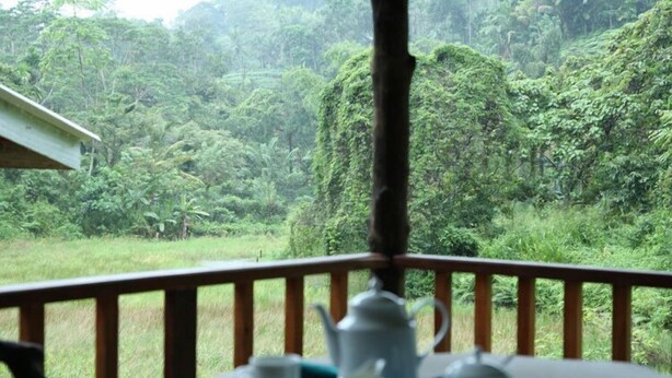 A table with a teapot and cups on a wooden deck with a view of a lush green forest. - Sinharaja Forest Edge (Deniyaya)
