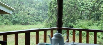 Sinharaja Forest Edge