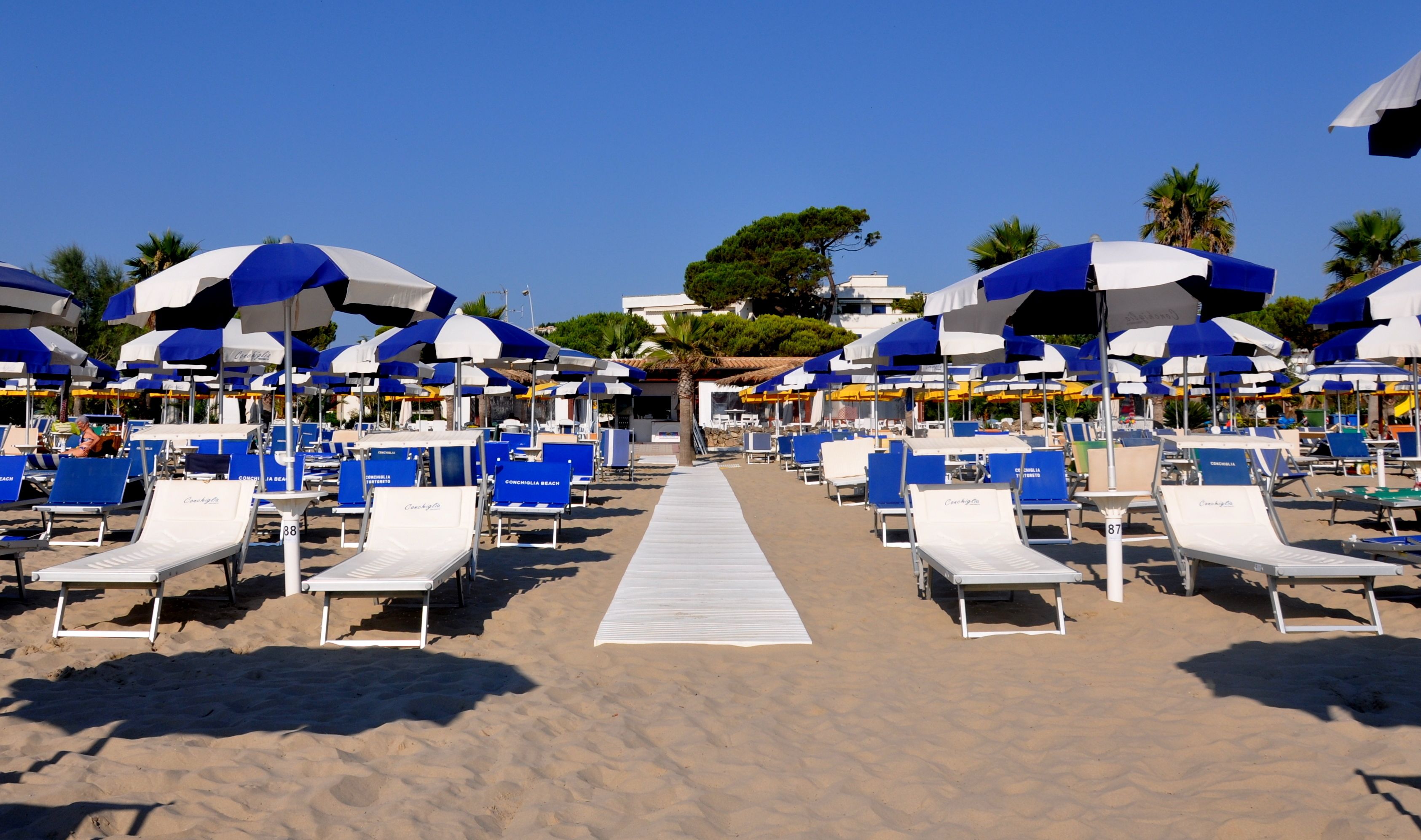 Une plage bordée de rangées de chaises longues et de parasols, avec une allée centrale et des palmiers en arrière-plan.