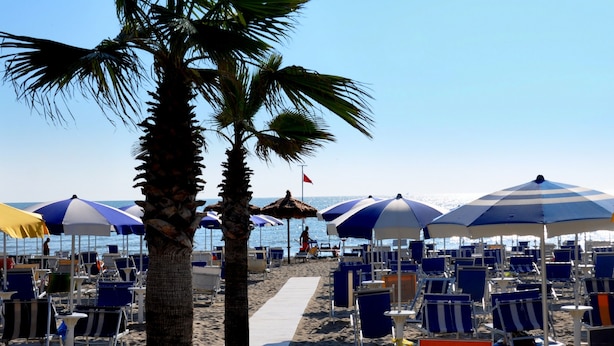 Uma praia com fileiras de cadeiras e guarda-sóis azuis e brancos, palmeiras e uma vista clara do mar.