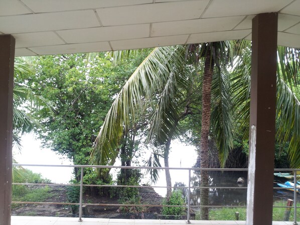 Vista desde la propiedad