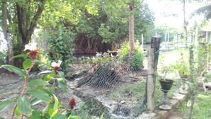 Solárium