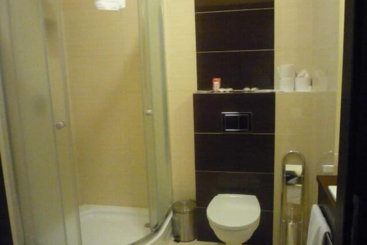 shower, free toiletries, hair dryer, slippers