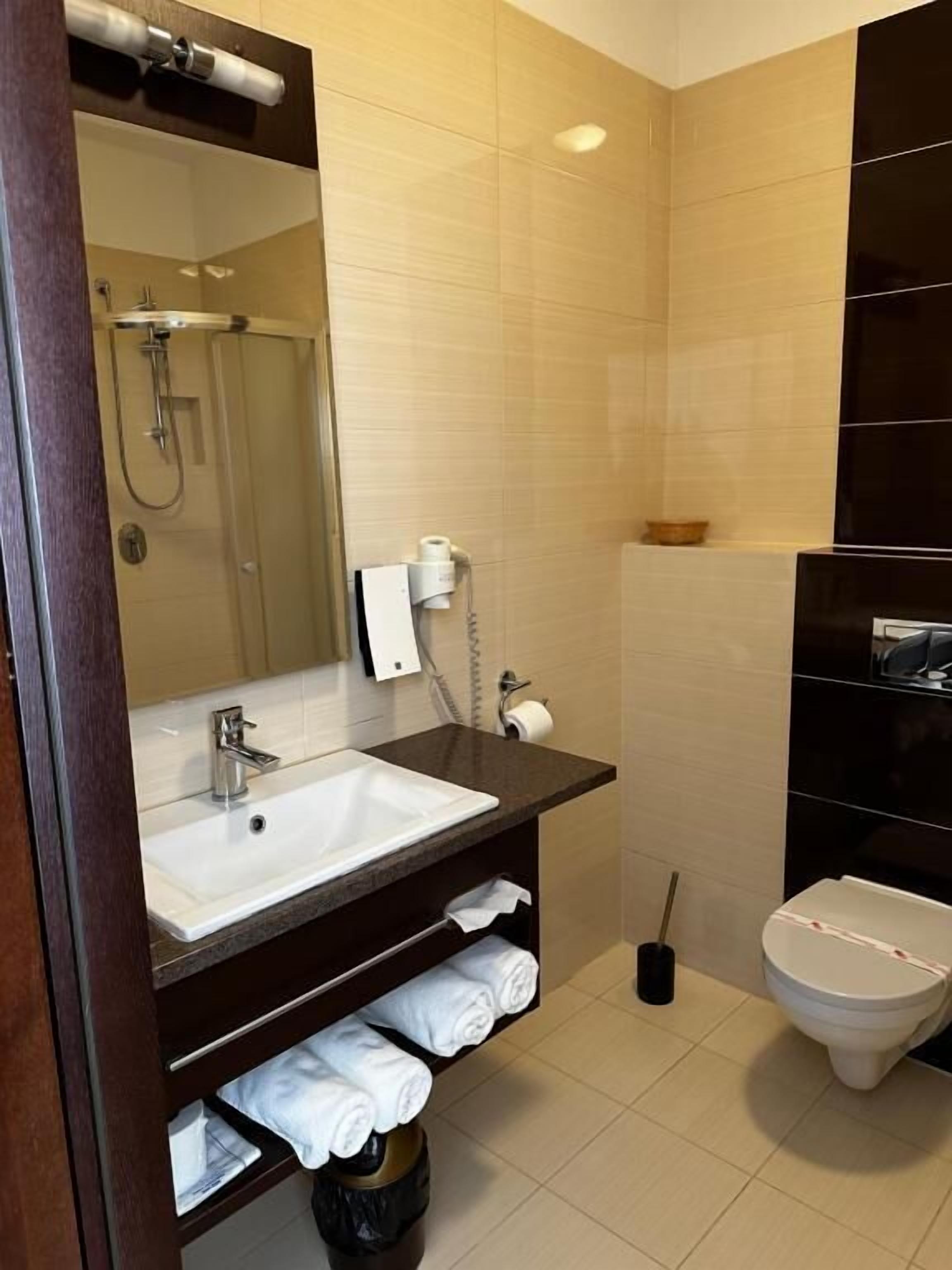 A modern bathroom with a sink, mirror, toilet, and shower.