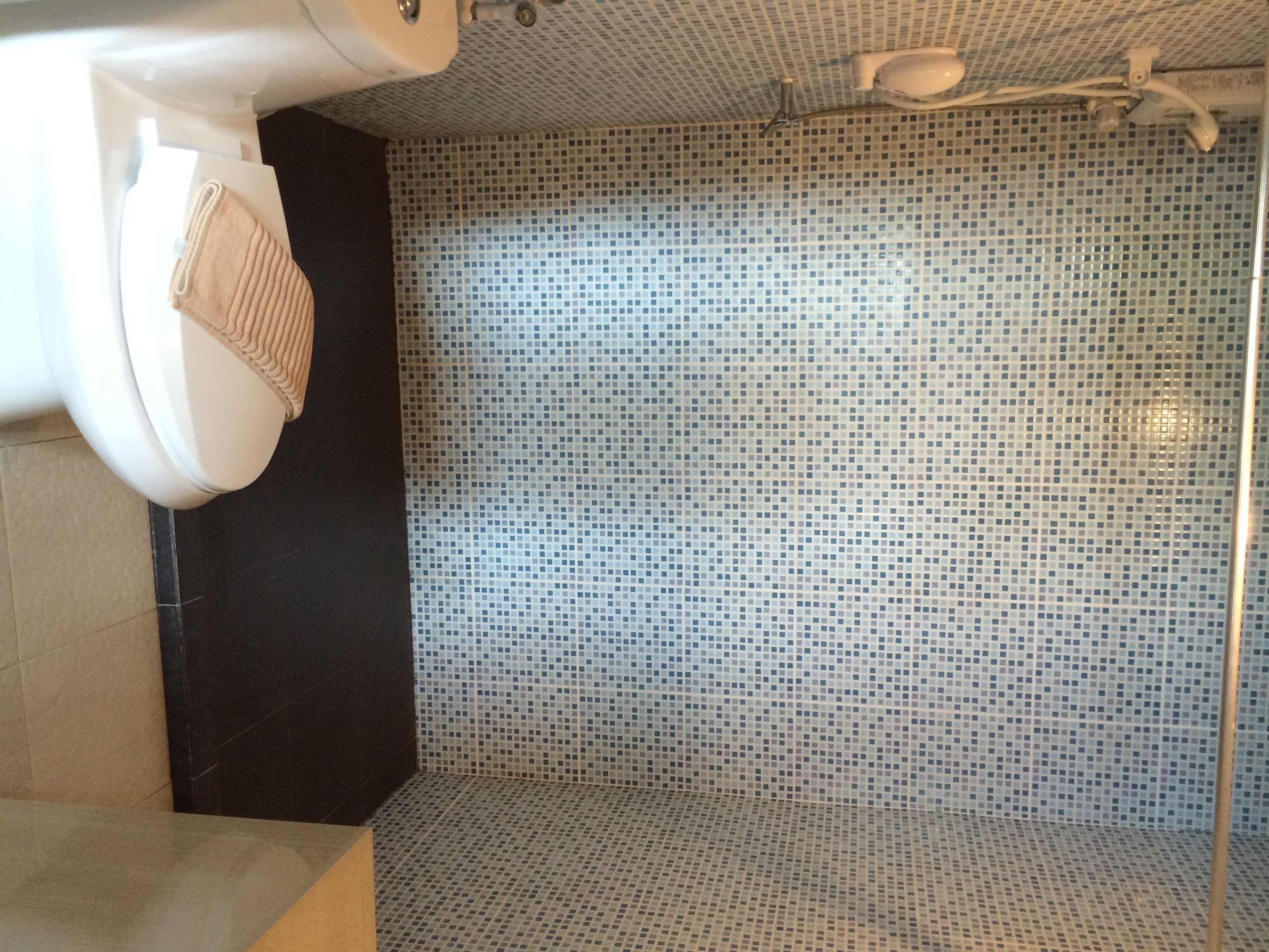 A bathroom with a toilet, a shower area, and a tiled floor.