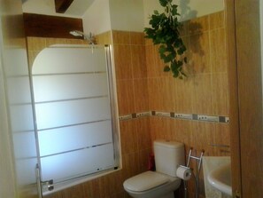 Combined shower/tub, hair dryer, towels