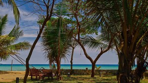 Una playa con palmeras, un banco de madera y un muro de piedra.