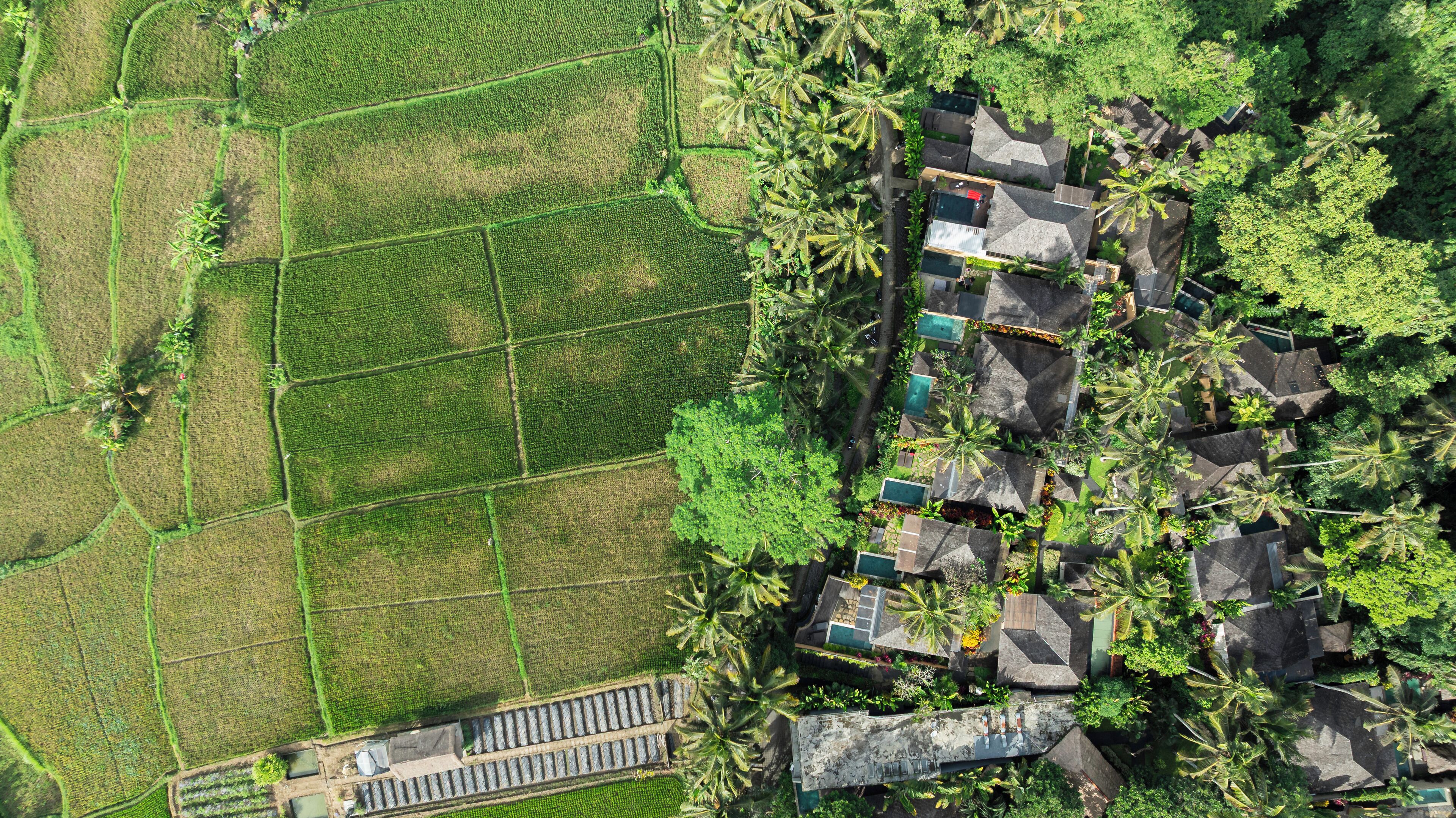 An aerial view of a property with terraced fields, a swimming pool, and a cluster of buildings with a modern design.