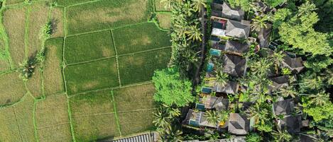An aerial view of a property with terraced fields, a swimming pool, and a cluster of buildings with a modern design.