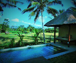 Pool Villa with Rice Field View and Complimentary Afternoon Tea (Free 1x Floating Breakfast or Mini) | วิวจากห้องพัก