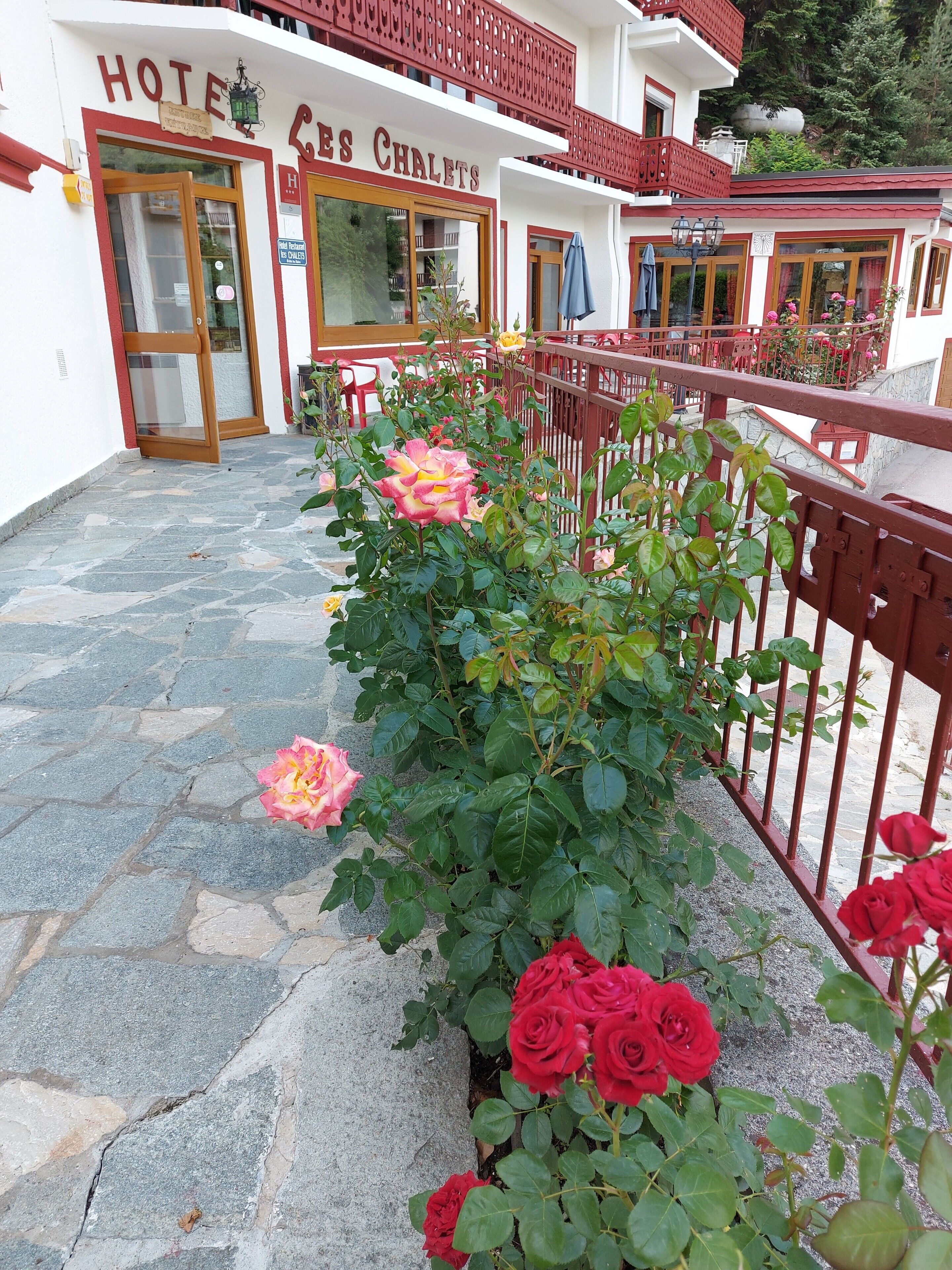 Entrada de hotel con un sendero empedrado de piedra, una valla de metal rojo y una fila de rosas rosadas y rojas.