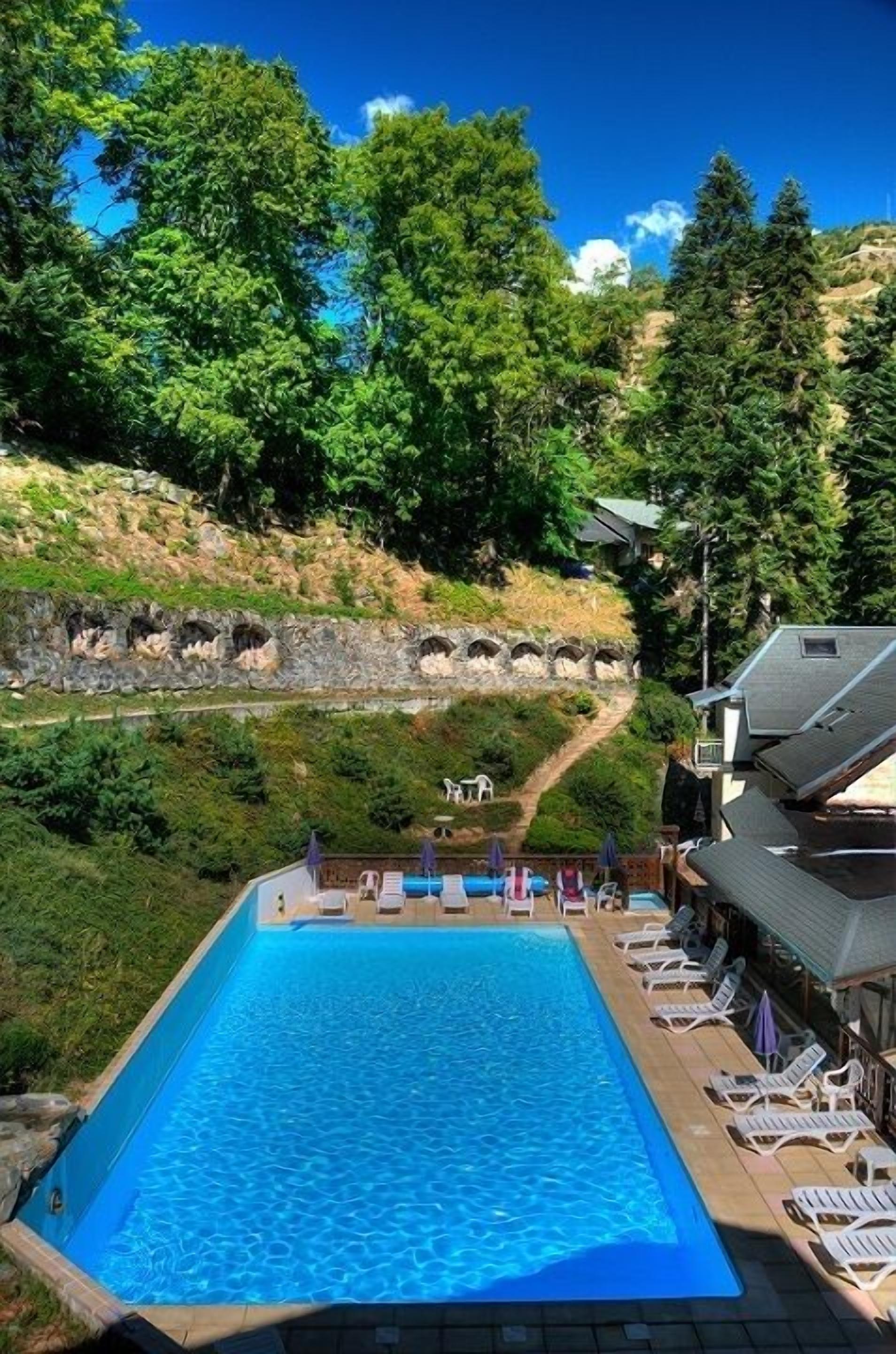 A rectangular swimming pool with lounge chairs and umbrellas, surrounded by lush greenery and a stone wall.