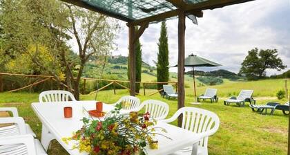 Bellavista farm of Quercini Maurizio