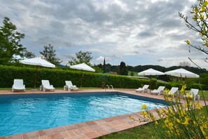 A swimming pool with white lounge chairs and umbrellas, surrounded by greenery and hedges. - Bellavista farm of Quercini Maurizio (Radicondoli)