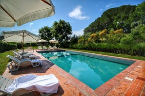 Outdoor pool, open 8:00 AM to 8:00 PM, pool umbrellas, pool loungers