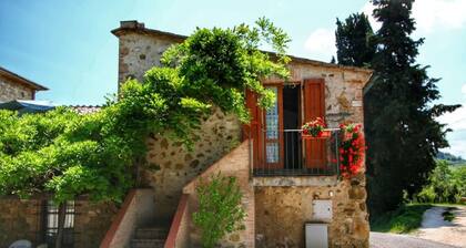 Bellavista farm of Quercini Maurizio