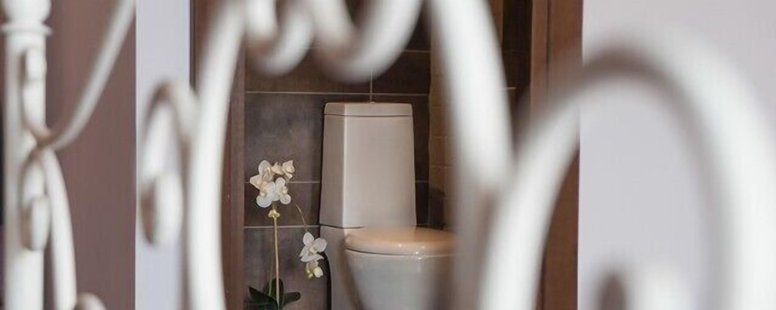 A bathroom with a toilet and a decorative orchid plant.
