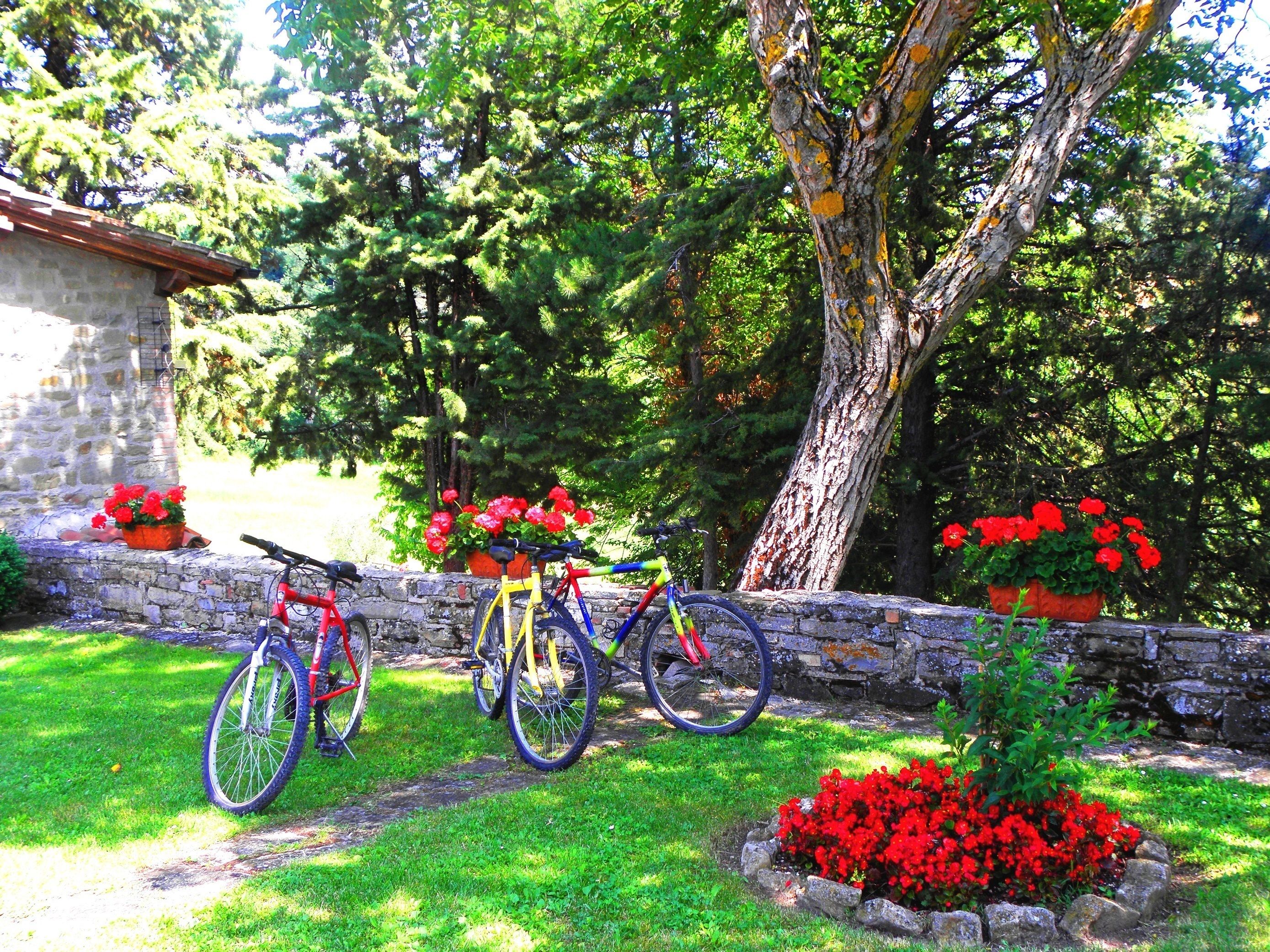 Un muro de piedra con una bicicleta apoyada, rodeado de un jardín con flores rojas y césped verde.