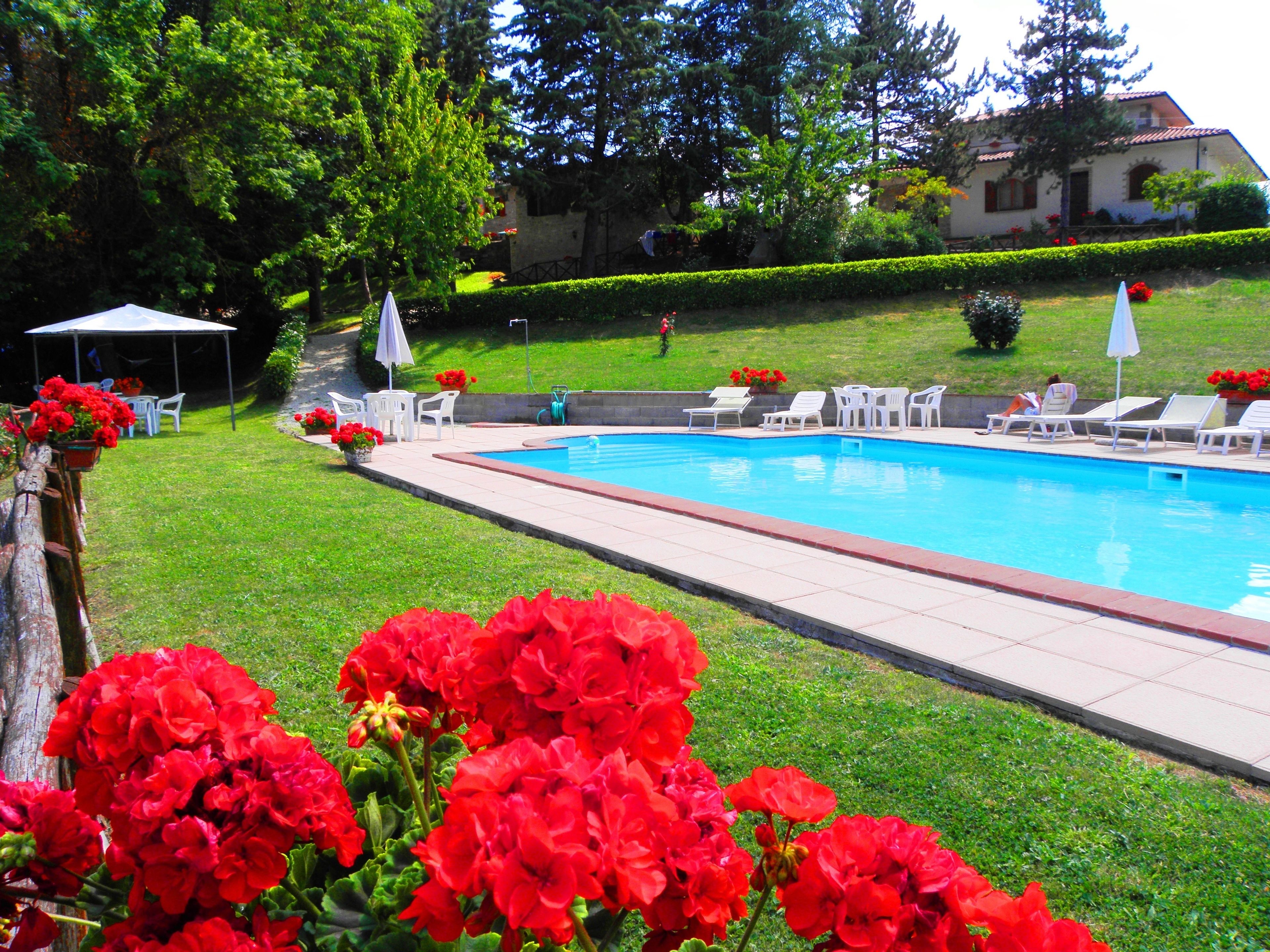 A swimming pool with a tiled deck, surrounded by green grass and red flowers. There are white lounge chairs and a white umbrella.