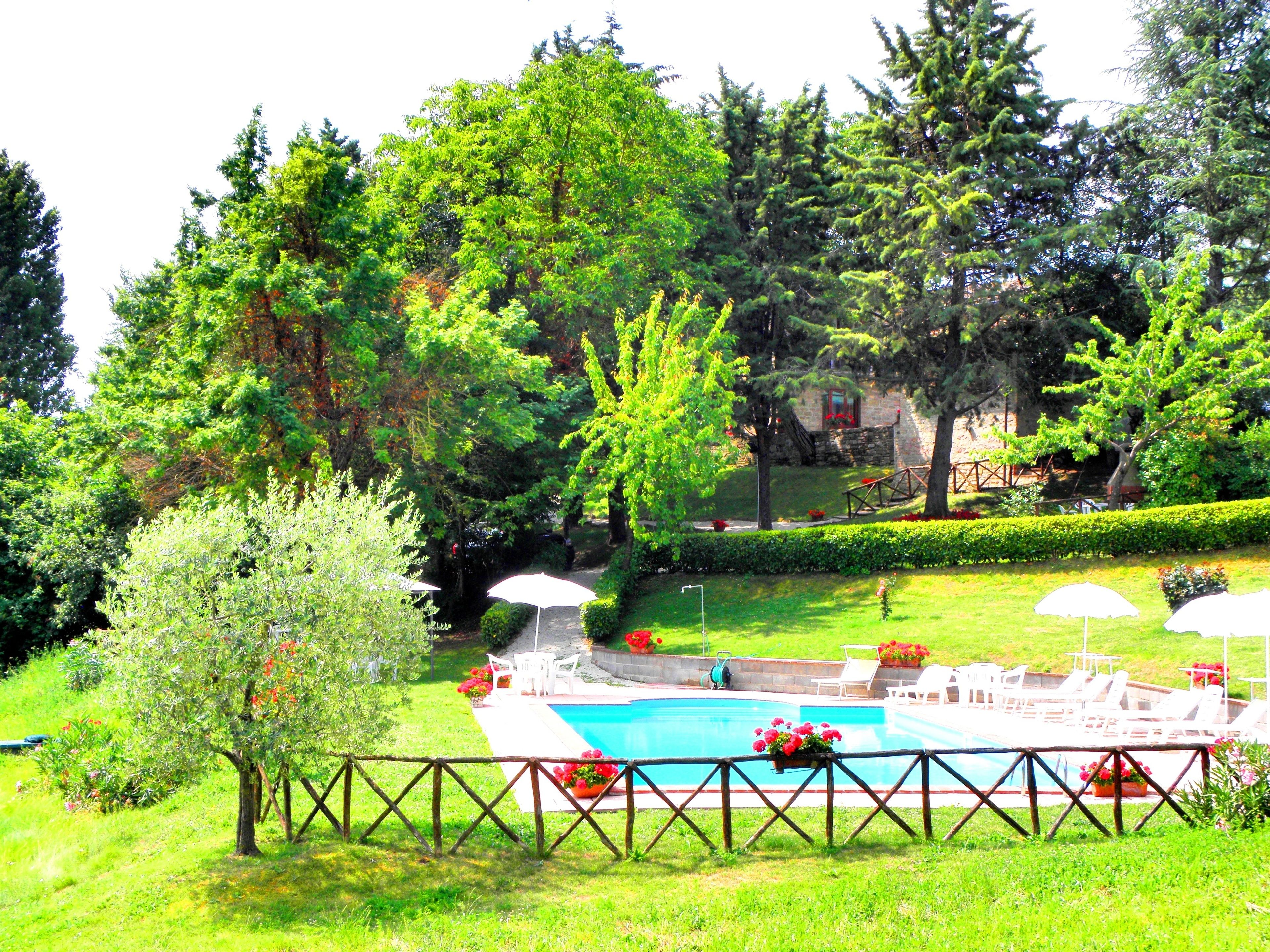 Una piscina con sillas de descanso y sombrillas, rodeada de exuberante follaje y árboles.