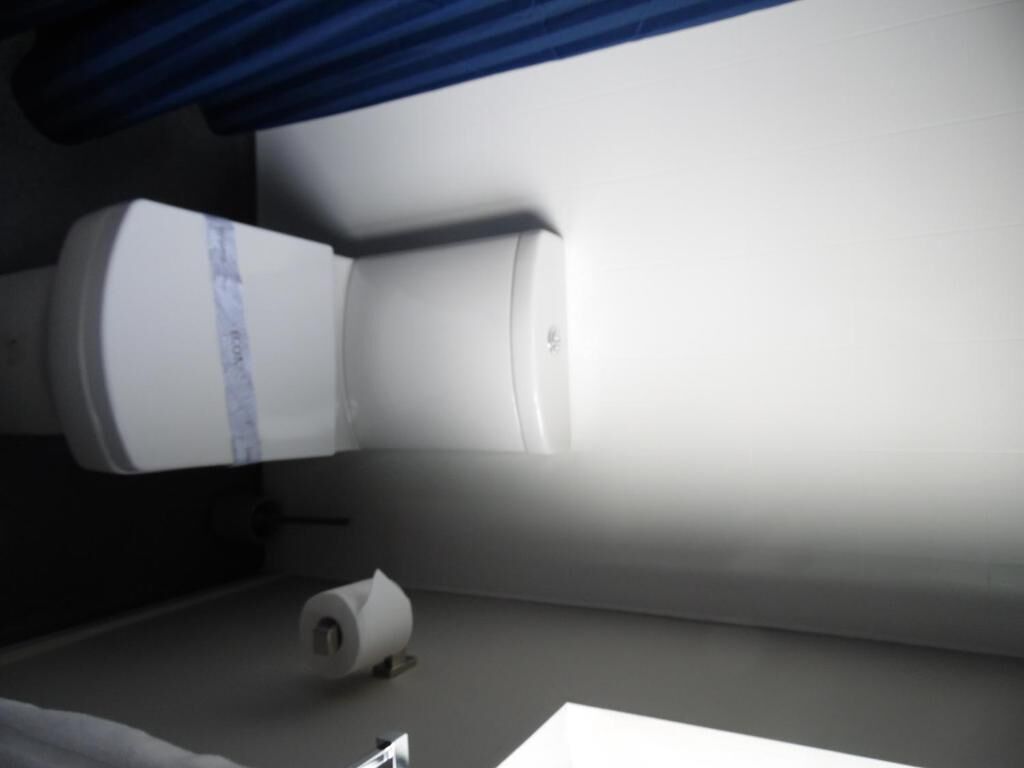 Ein Badezimmer mit Toilette, einer Toilettenrolle und einem blauen Vorhang.