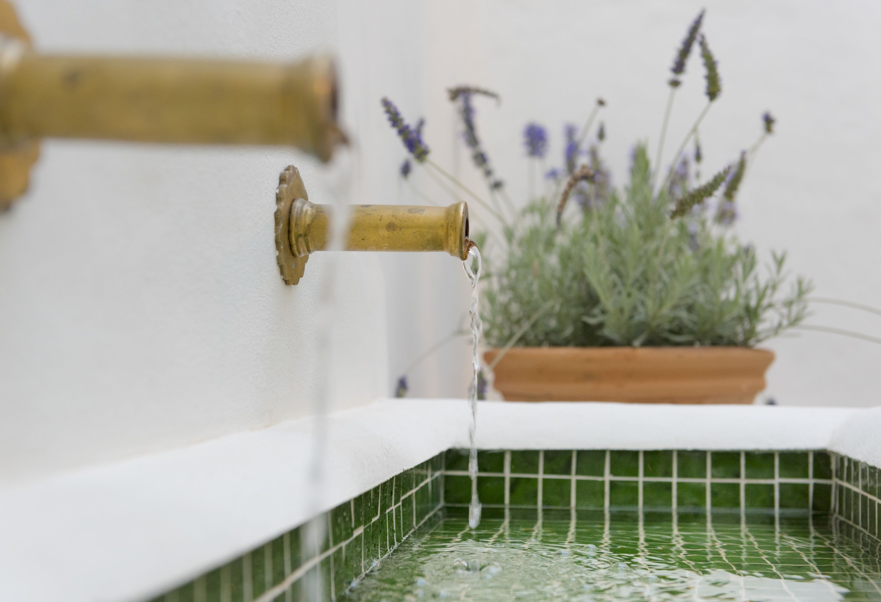 Photo - Casa Shelly Hospedería