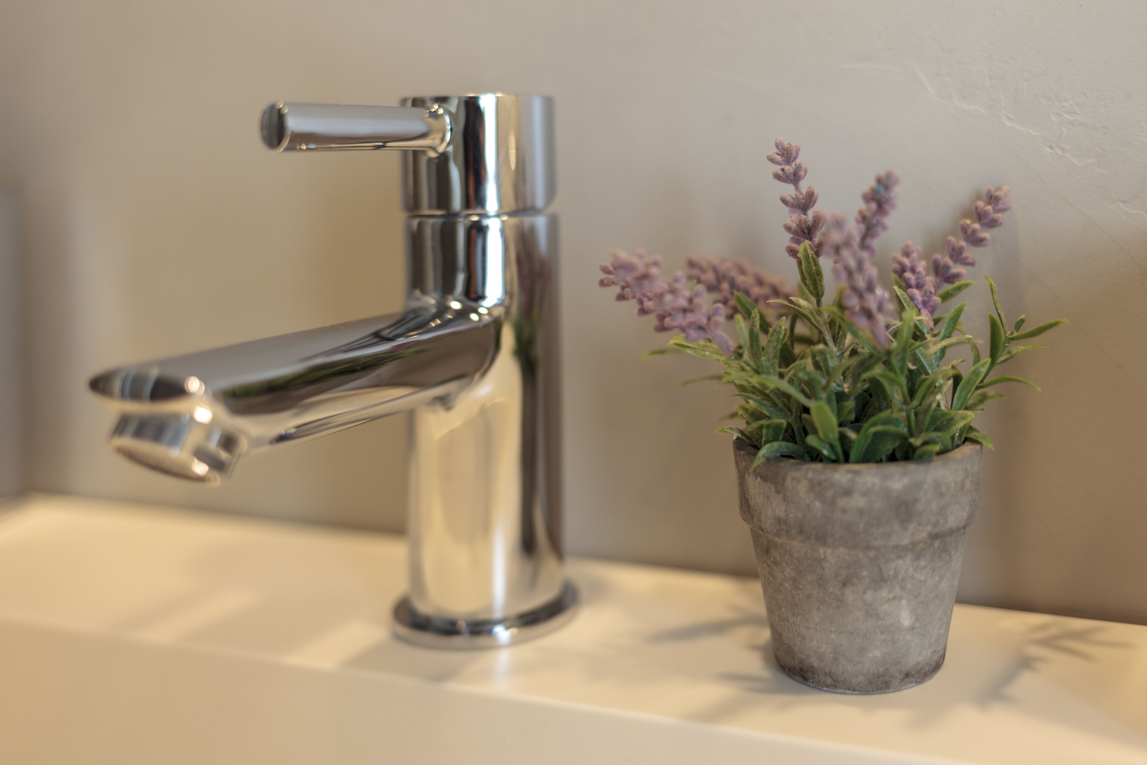 Photo - Casa Shelly Hospedería