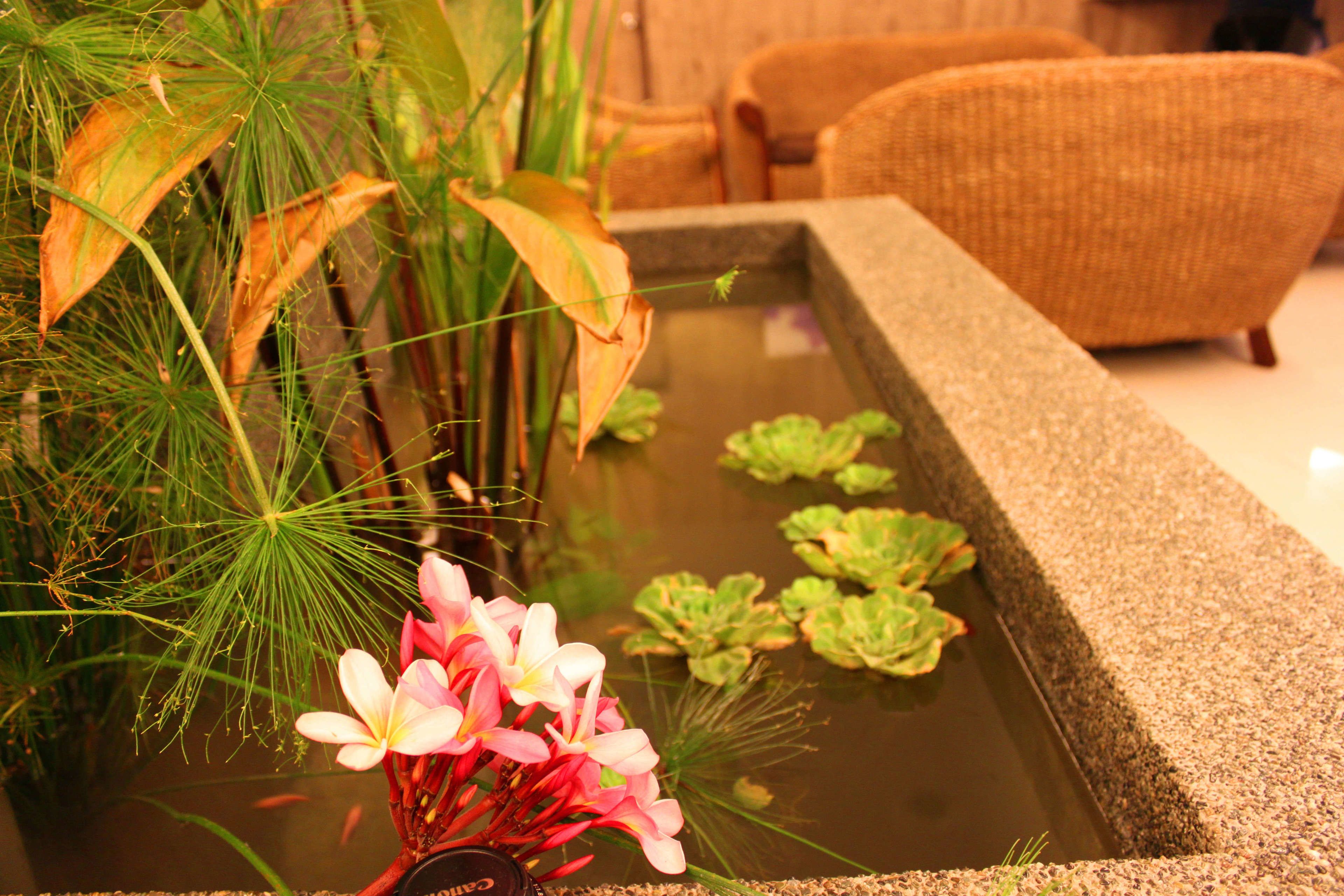 Photo - Hotel Time Boutique Nilai