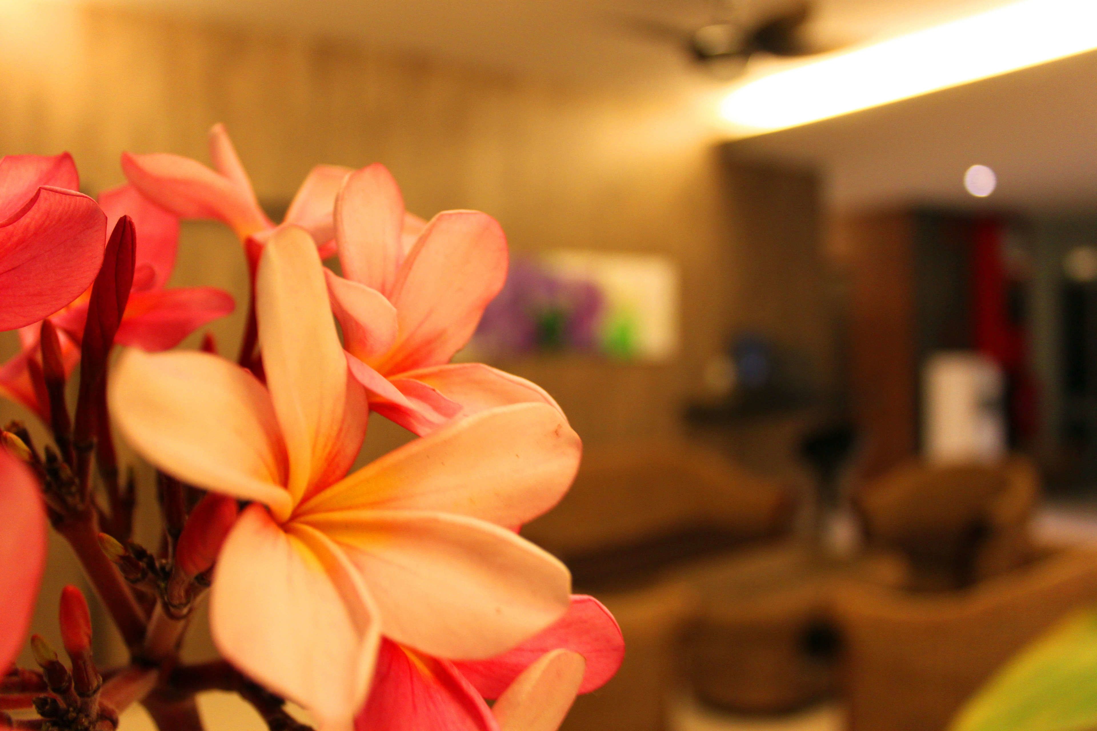 Photo - Hotel Time Boutique Nilai