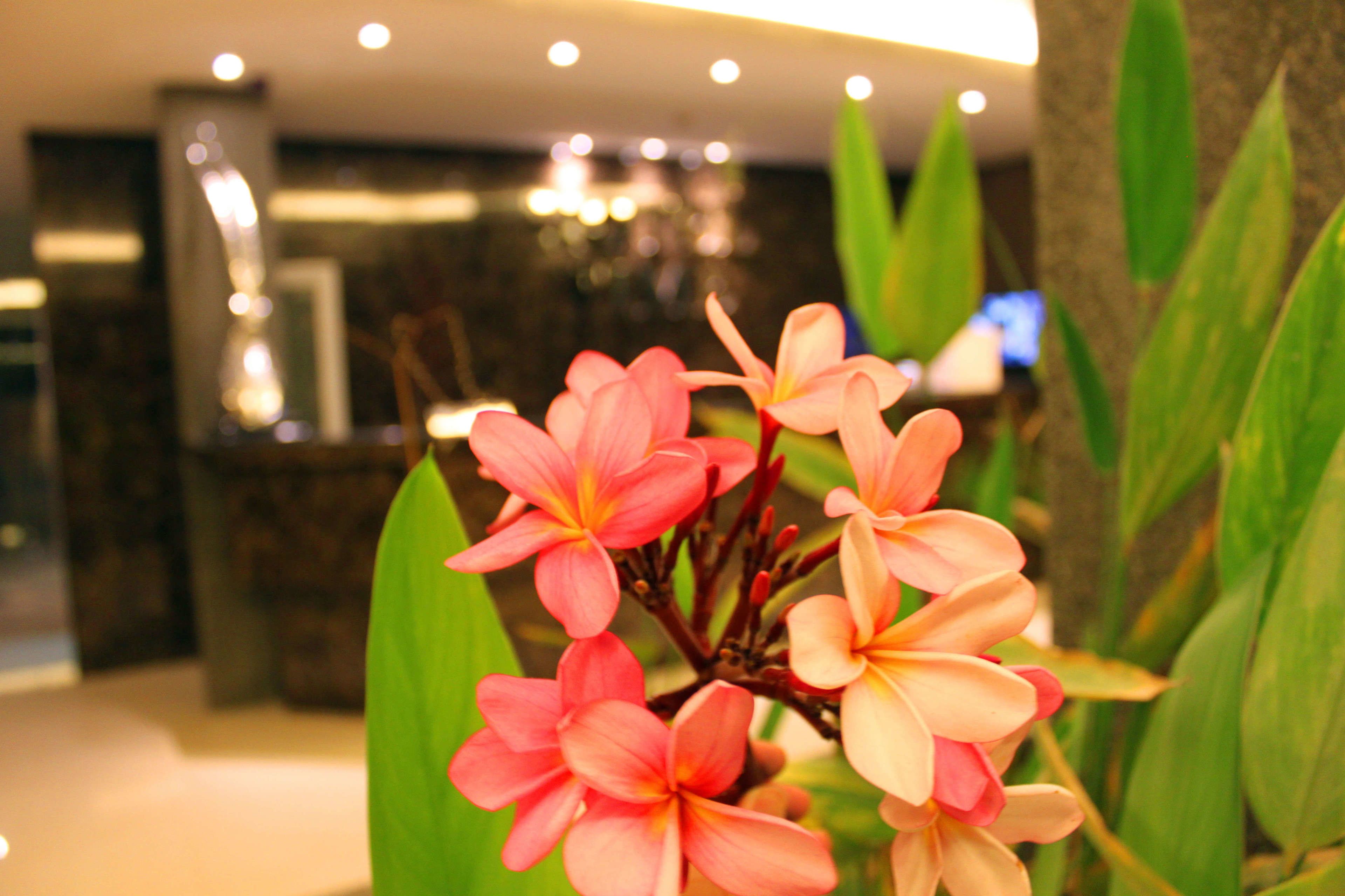 Photo - Hotel Time Boutique Nilai