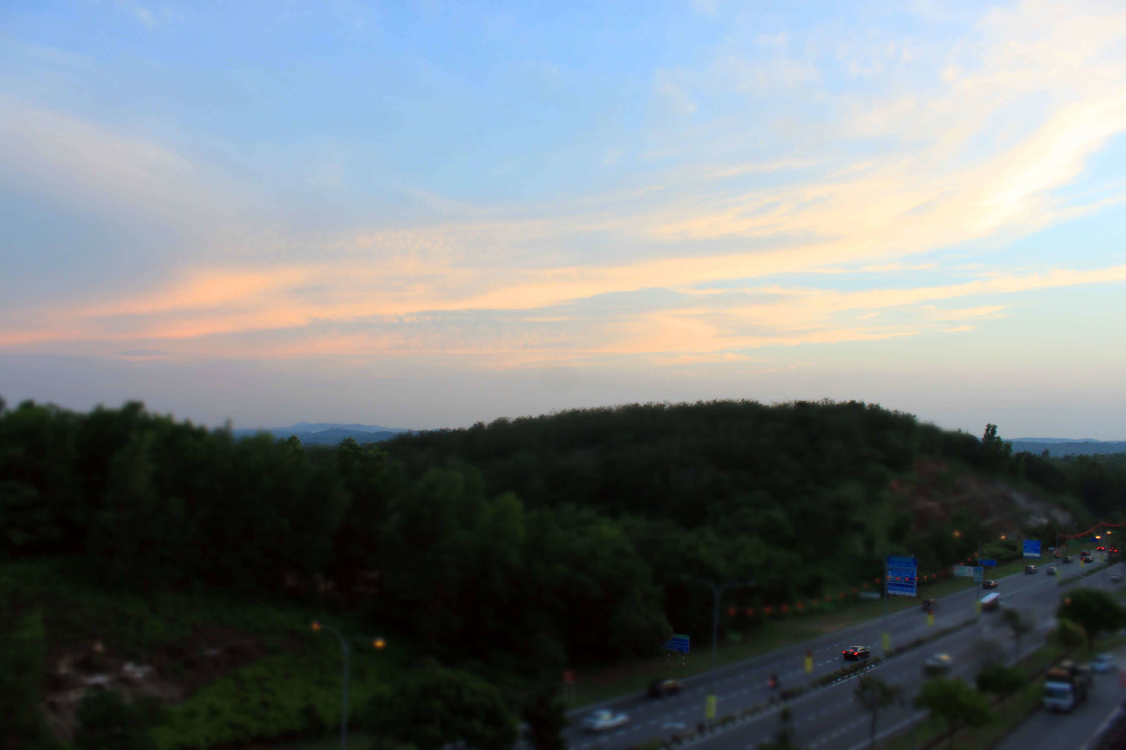 Carretera con vehículos, rodeada de un bosque frondoso y un cielo despejado.