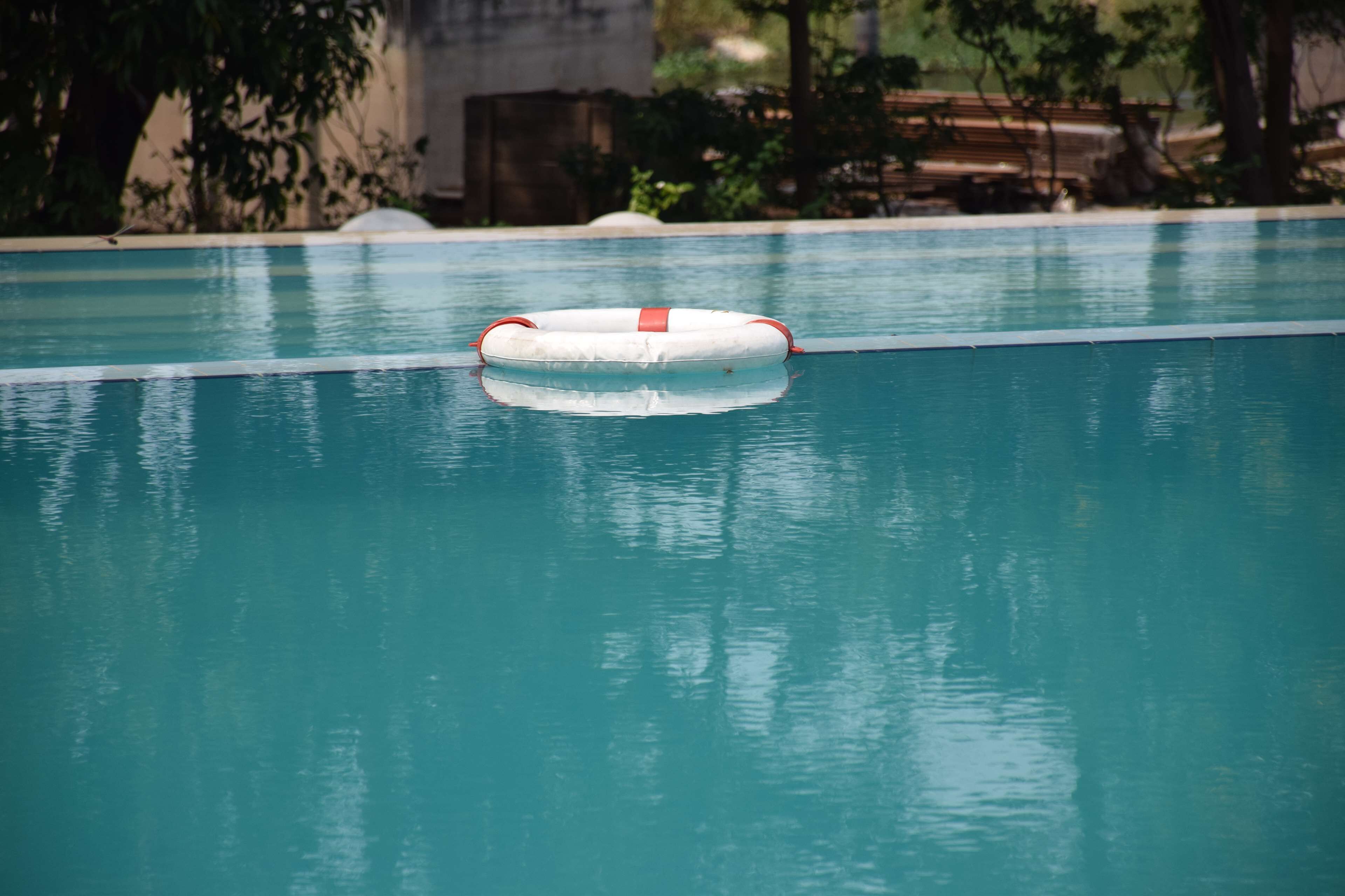 outdoor pool, pool loungers