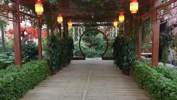 Un sendero de madera que conduce a un espacio cubierto con faroles y plantas.