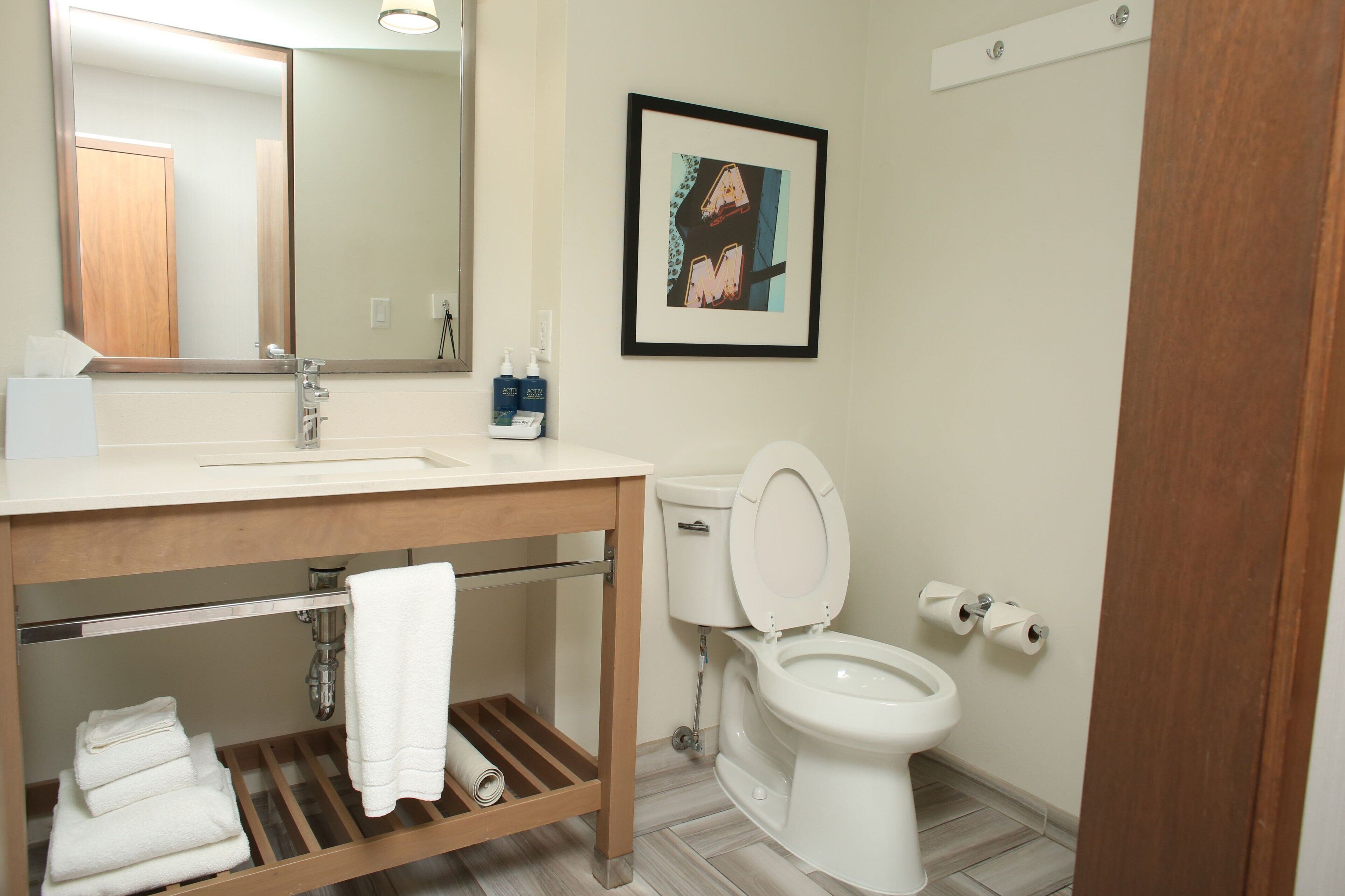 shower, free toiletries, hair dryer