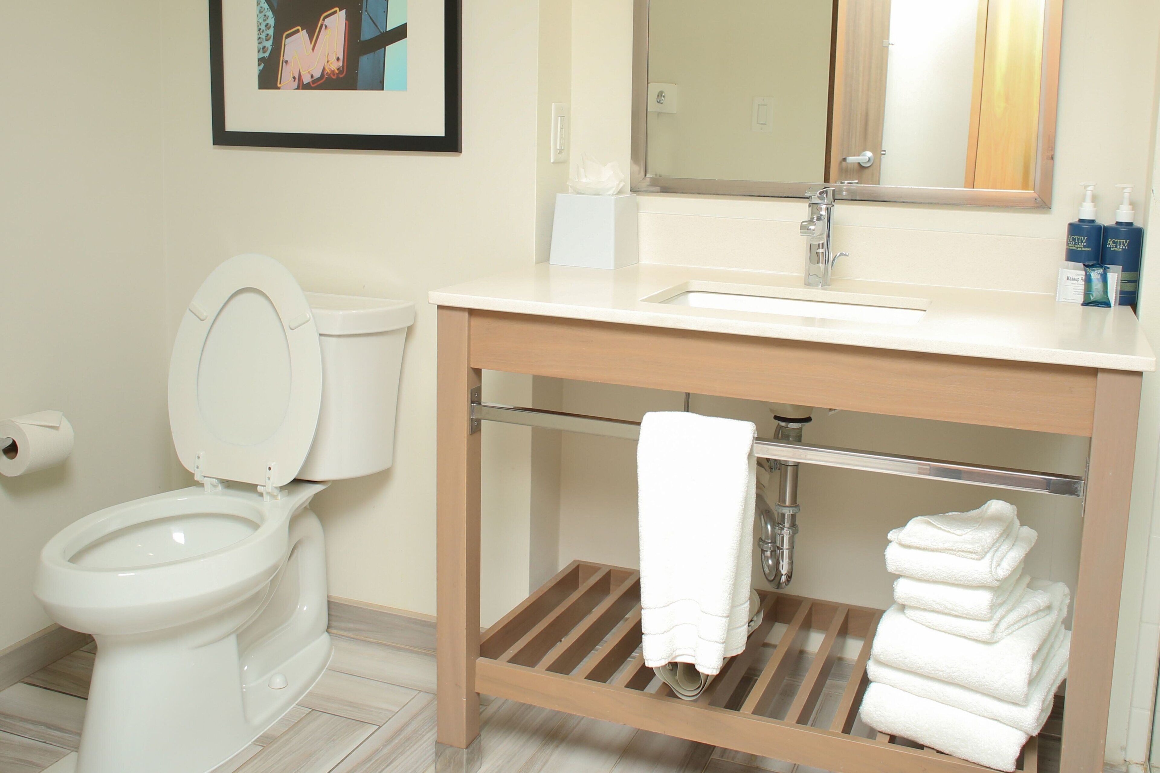 shower, free toiletries, hair dryer