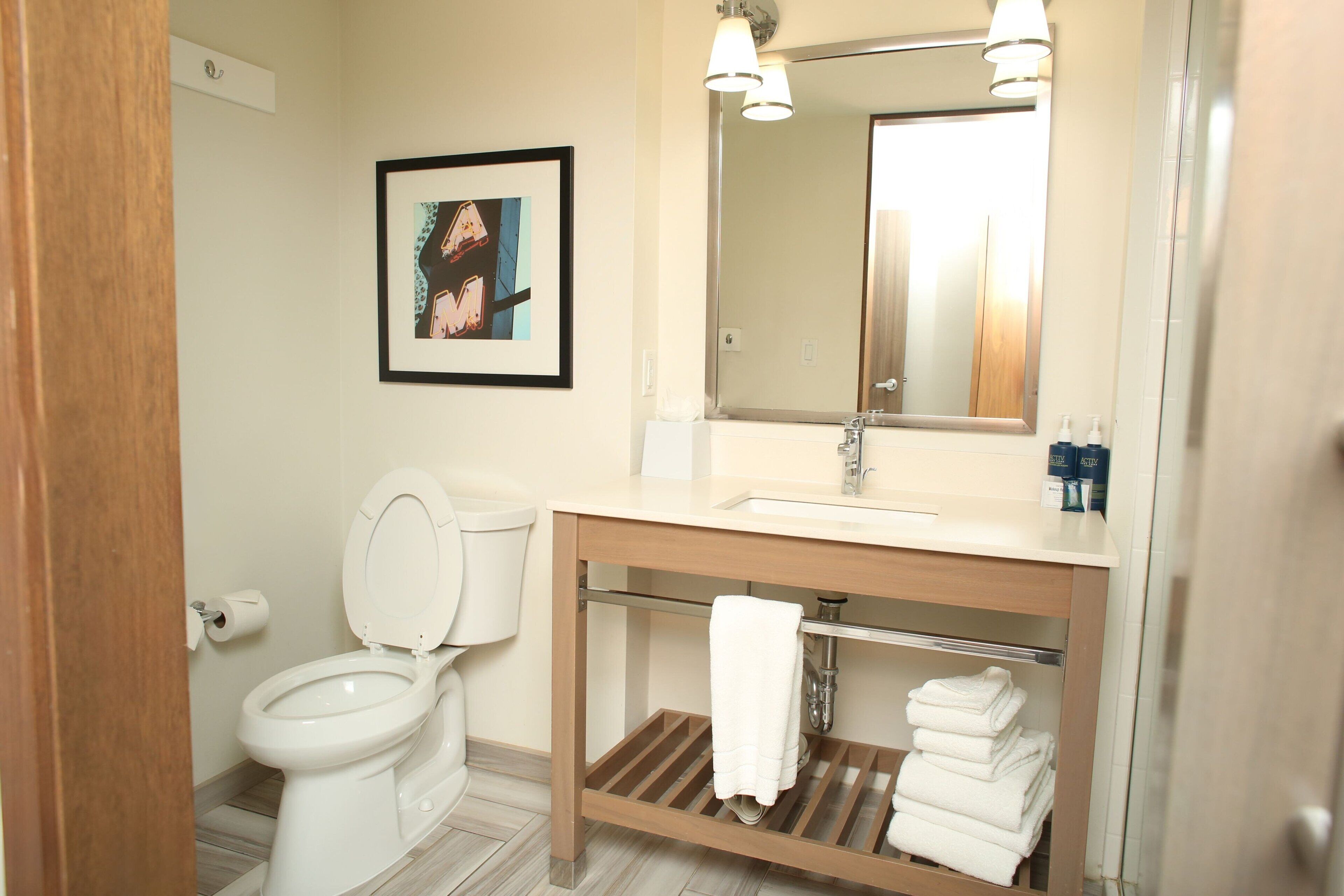 shower, free toiletries, hair dryer