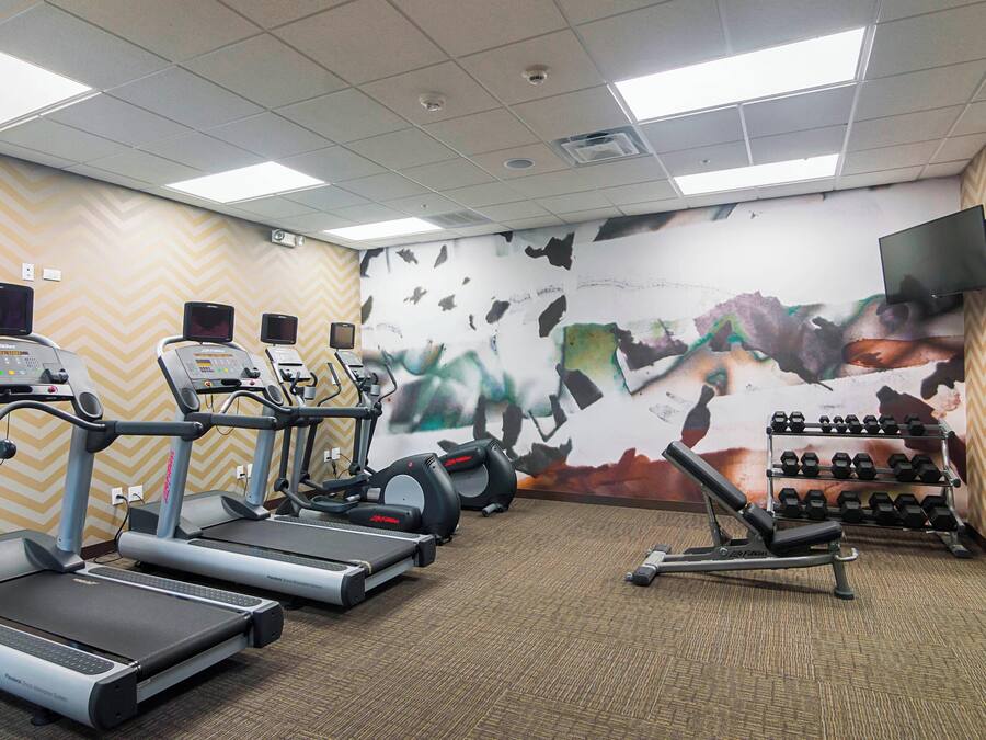 Un gimnasio con cintas de correr, elípticas y un estante de mancuernas.