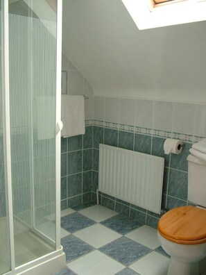 A bathroom with a shower, a toilet, and a radiator.