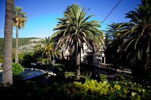 Terrain de l’hébergement 